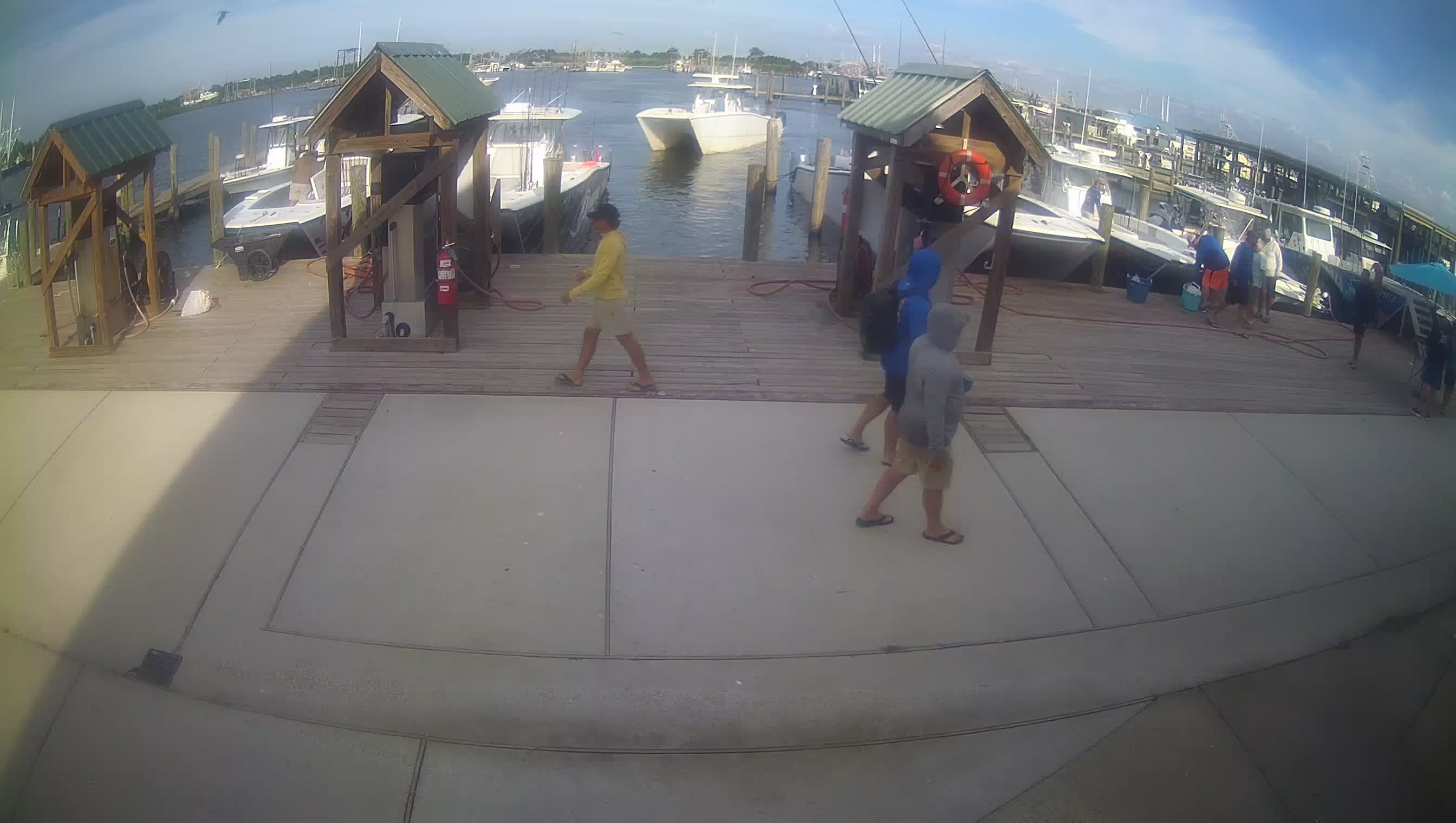Venice 2 live view