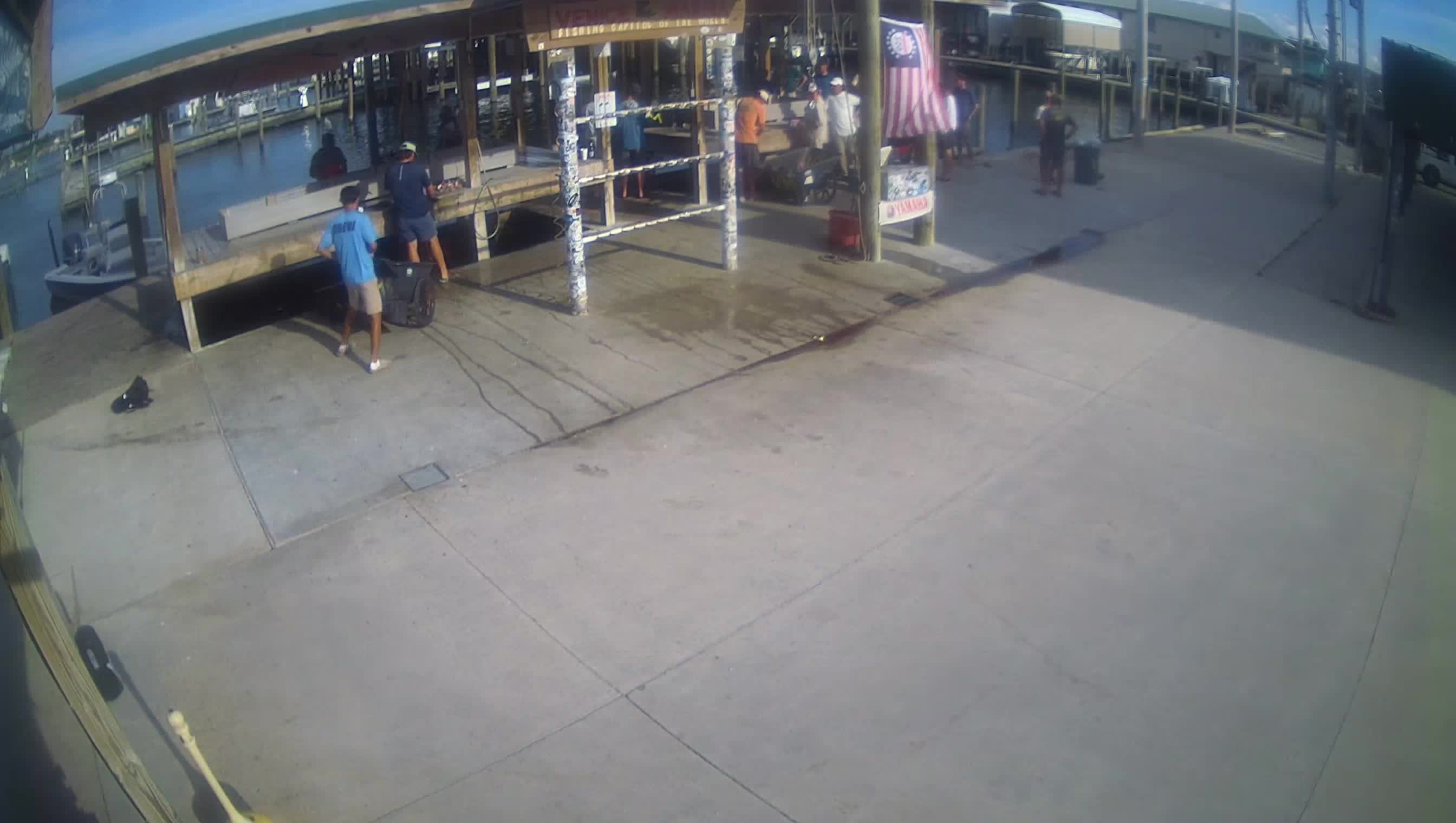 Venice 1 live view