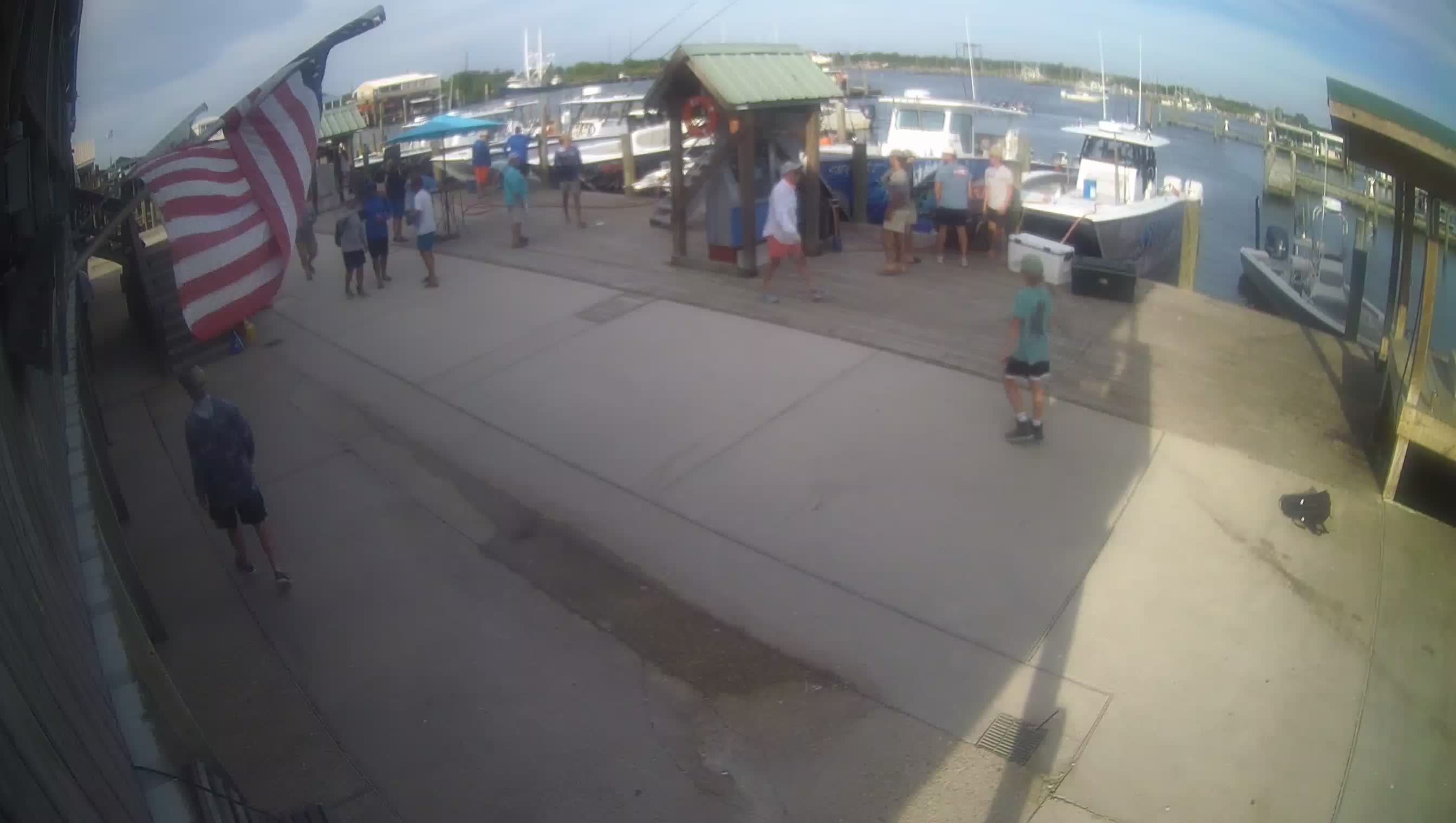 Venice 3 live view
